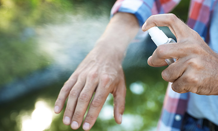 Bayhealth Primary Care Physician on summer bug bites