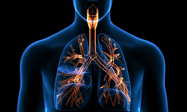 A New Era in Lung Cancer Detection: Robotic Bronchoscopy at Bayhealth