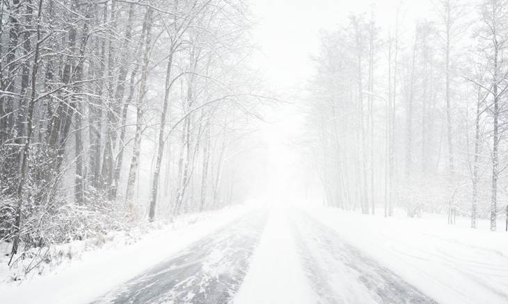 Snowy, tree-lined road